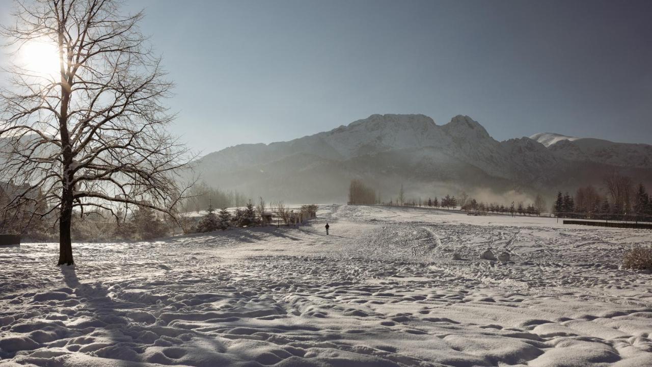 Apartament Dom Pod Lipkami Zakopane Zewnętrze zdjęcie